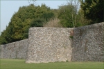 The Bastion